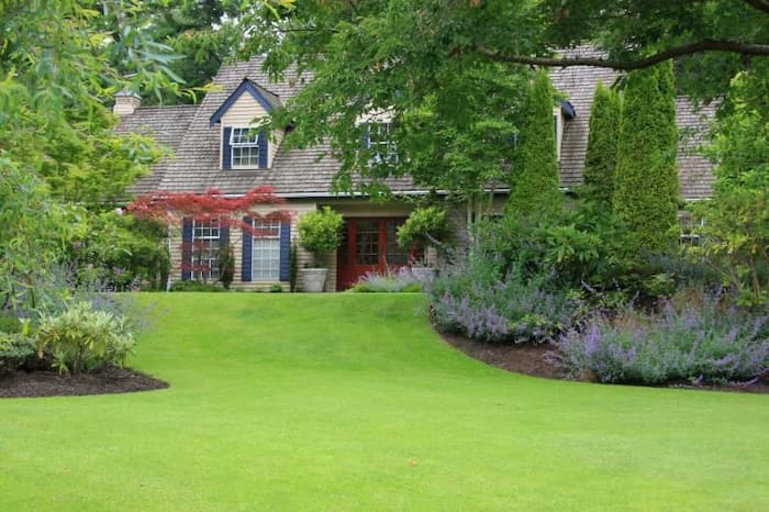 Landscape Design